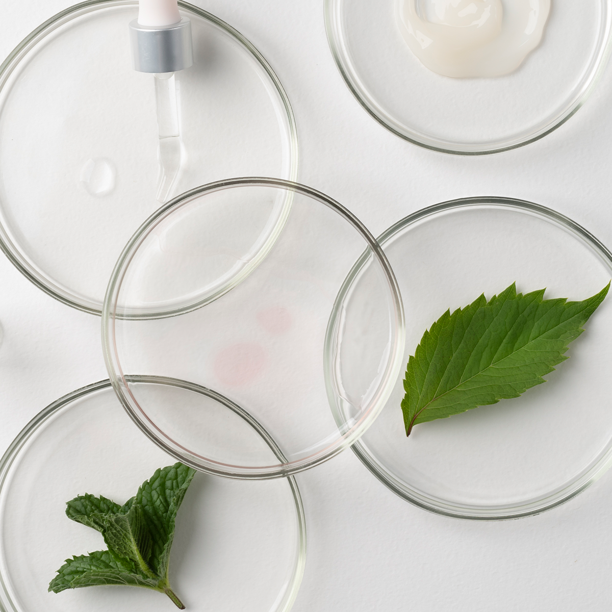 Clean Beauty bei SUMMERSAVER