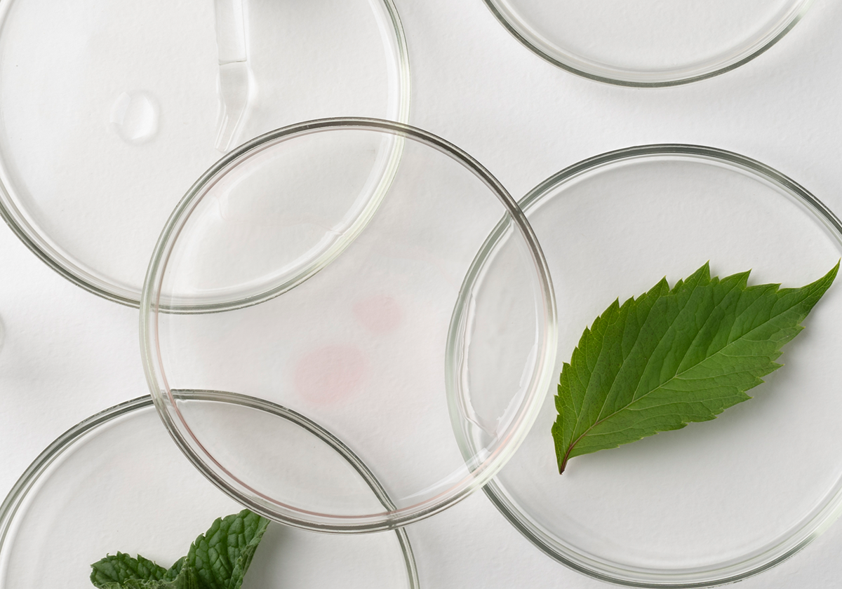 Clean Beauty bei SUMMERSAVER