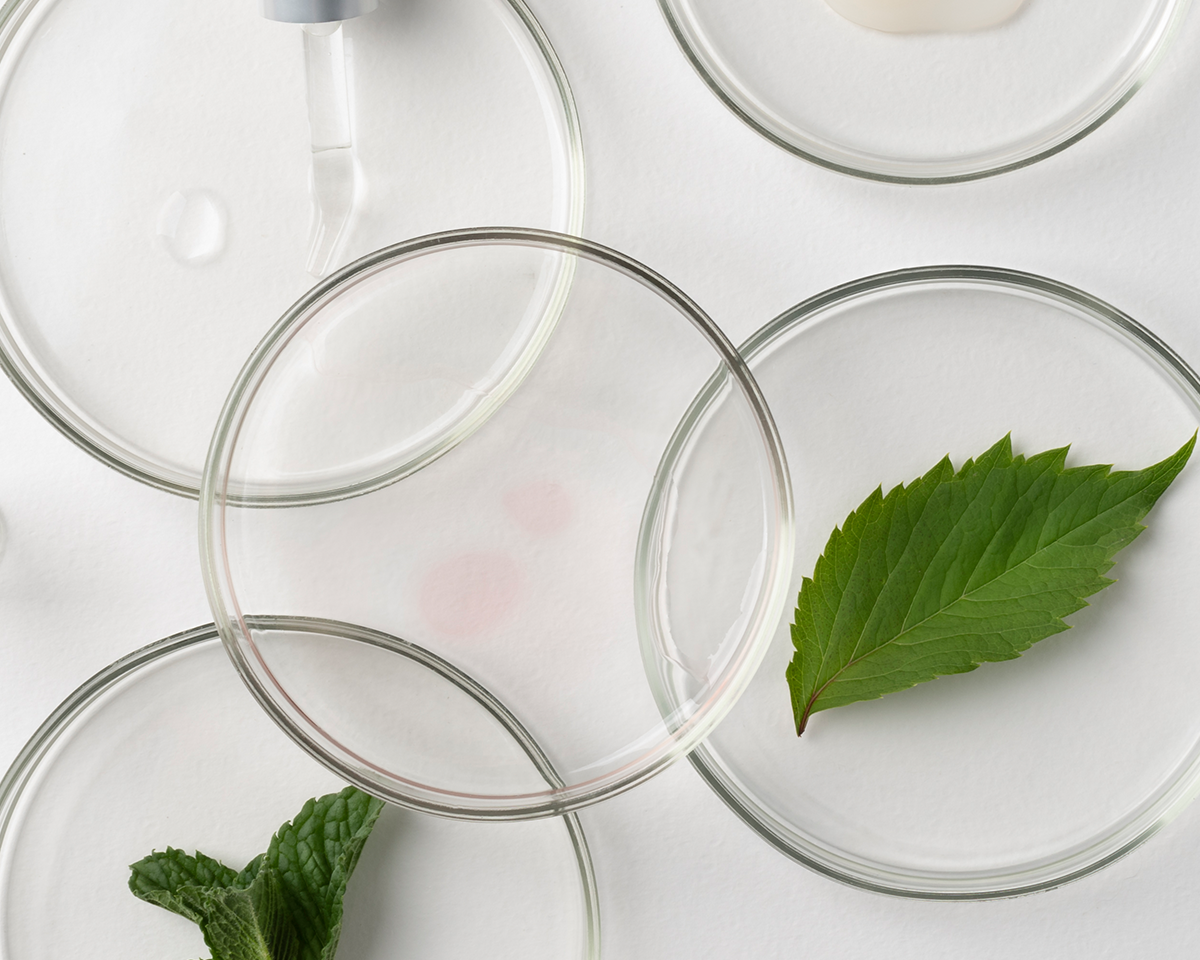 Clean Beauty bei SUMMERSAVER